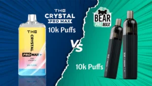 Crystal Pro Max 10000 Puffs Vape vs. Bear Pro Max 10000 Puffs Vape