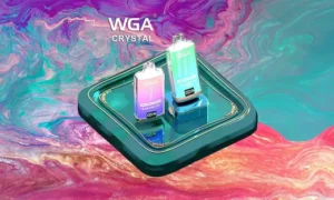 What are the Best Flavours of Crystal Pro Max 15000 Puffs Vape?