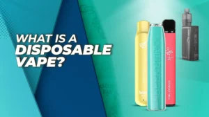 What Is a Disposable Vape?